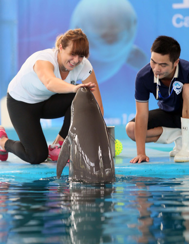 门逆袭的天 门逆袭的天