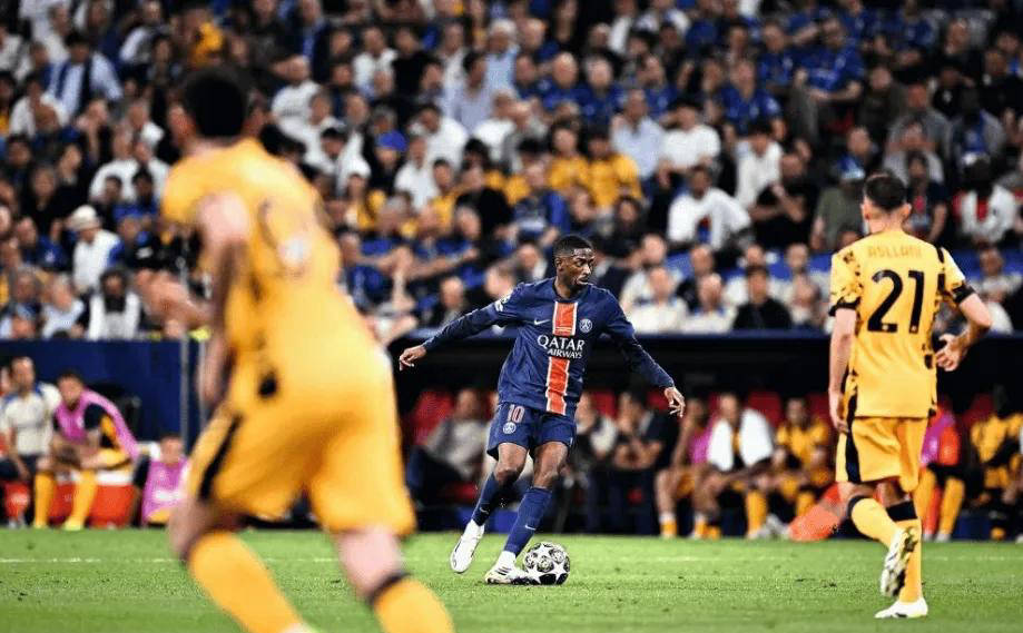 泳世锦赛单 泳世锦赛单